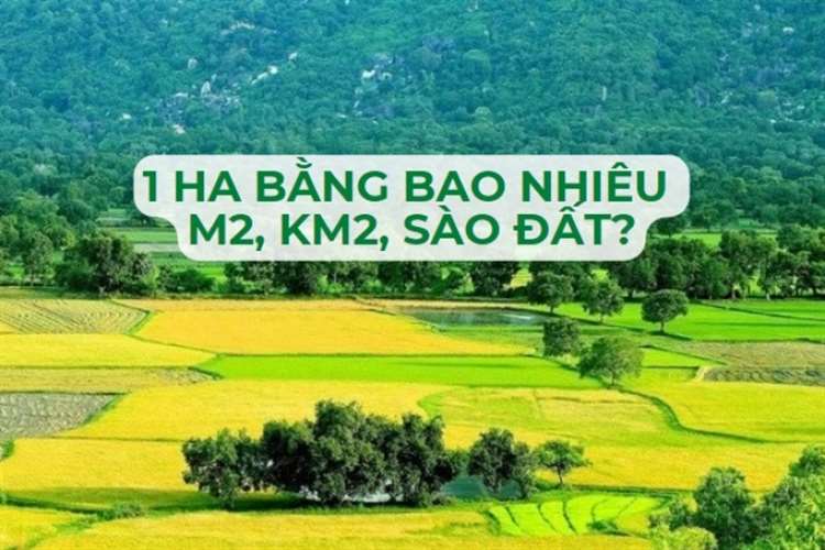 1ha bằng bao nhiêu m2 bắc bộ