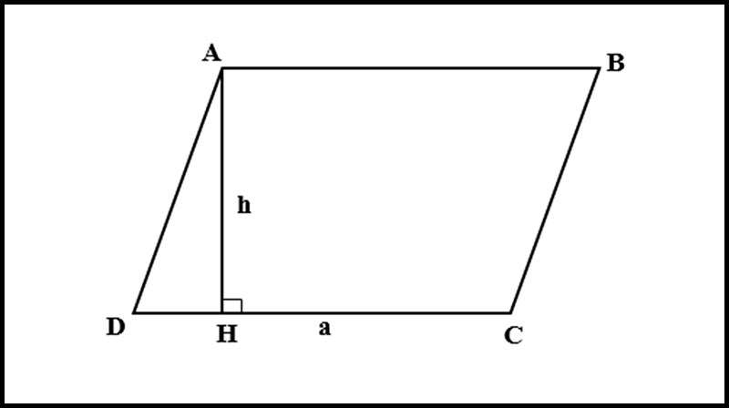 Tính diện tích hình bình hành lớp 4